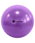 dragonfly yoga 55cm yoga ball purple