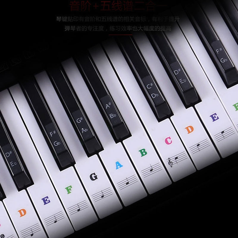 transparent detachable music decal notes piano keyboard stickers 54/61 or 88-key
