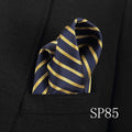 men's pocket square handkerchiefs striped 22*22 cm sp85