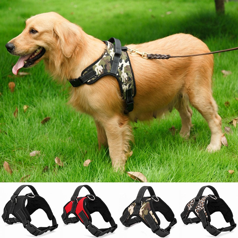 nylon heavy duty hund pet harness kragen verstellbare
